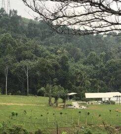 Lembah Peladang Agropark Campsite