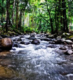 Sungai Chongkak Recreational Forest, Ecotouria Resort