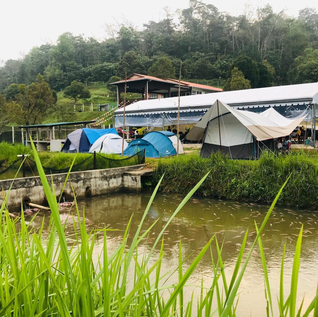 Lolo Mike’s Eco Farm, Kerling, Selangor