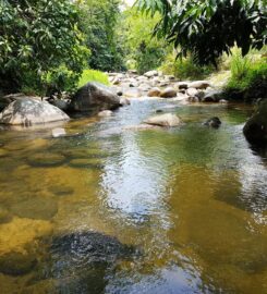 Rimba Valley Motor Campsite