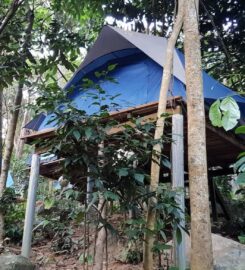 RainForest Camping Perhentian Island