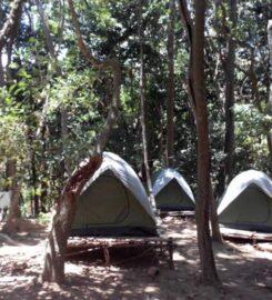 RainForest Camping Perhentian Island