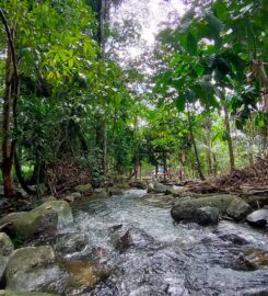 Amazing Camp Legacy: Legends By Nature