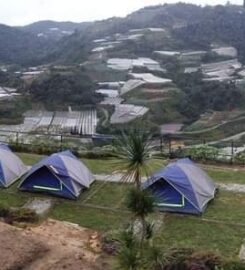 Cozy Leisure Farm, Cameron Highland