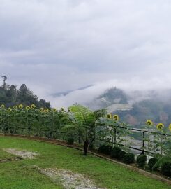 Cozy Leisure Farm, Cameron Highland