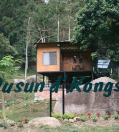 Dusun d’Kongso