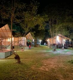 Glamping at Kongkoi