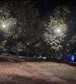 Tok Bak Campsite