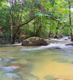 Campsite ASB, Batang Kali