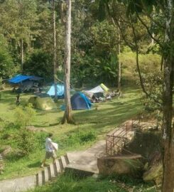 Taiping Bamboo Resort