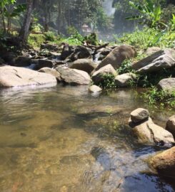 Suara Rimba Campsite Sg Gabai, Hulu Langat