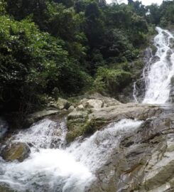 Suara Rimba Campsite Sg Gabai, Hulu Langat