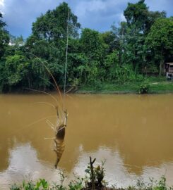 D’Rahsia Bayan Chalet, Temerloh