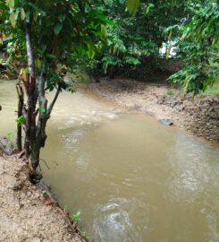 Dusun Ayah Heritage, Batang Kali