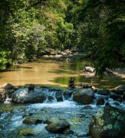 The Sticks, Kuala Kubu Baru