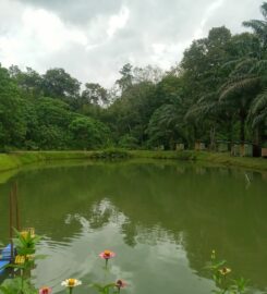 Intan Puteri Eco Farm, Batang Kali