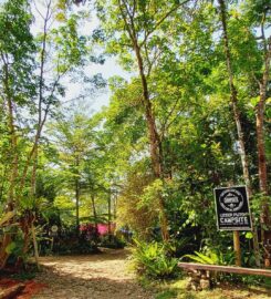 Uzeer Puteh Campsite, Batu Kurau