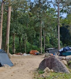 Wildrock Campsite Perak