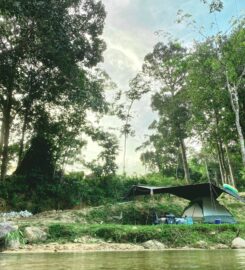 Wildrock Campsite Perak