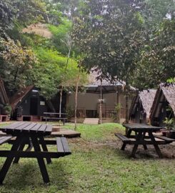 Kem Perah FRIM, Kepong – Malaysia Camping