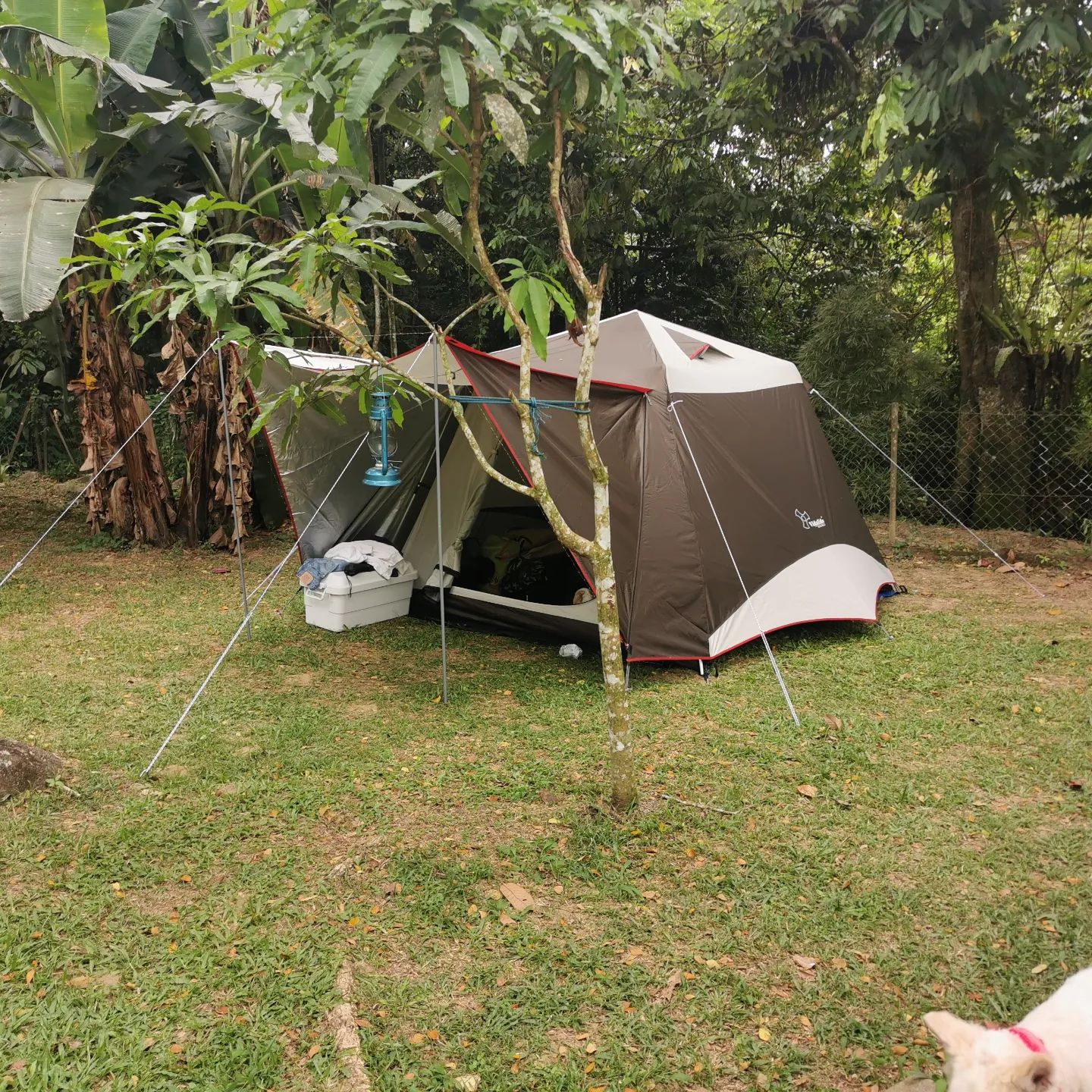 Griffin Guesthouse Janda Baik – Malaysia Camping