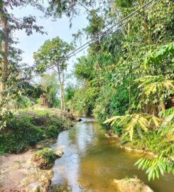 Kebun Lembah Inki Kalumpang