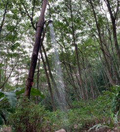 Papan Hill Nature Camp