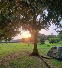 The Somer Campsite, Bentong