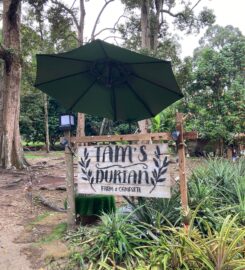 Tam’s Durian Farm & Campsite
