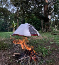 Tam’s Durian Farm & Campsite