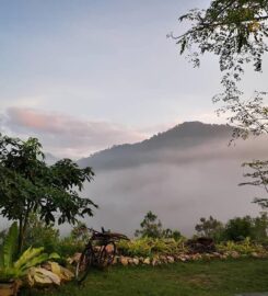 Ten Toes Camp, Pekan Nanas