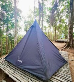 Ten Toes Camp, Pekan Nanas