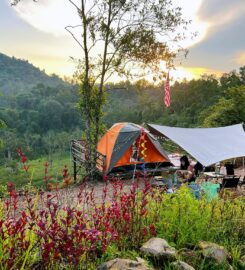 Ten Toes Camp, Pekan Nanas