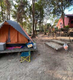 Ten Toes Camp, Pekan Nanas