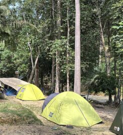 Zen Forest Campsite, Bentong