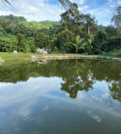 Bentong Nature Campsite