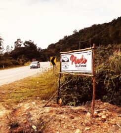 Pindo Sea Forest, Cherating