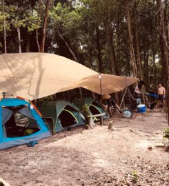 Pindo Sea Forest, Cherating