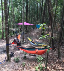 Pindo Sea Forest, Cherating