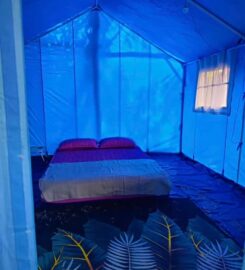 Teney glamping, Jeli