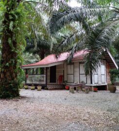 Aziz D’rimba Chalet Campsite