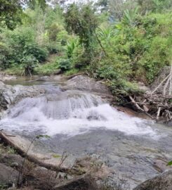 Dusun Sungai Tamu Adventure Camp