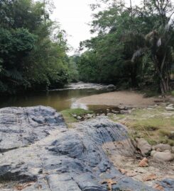 Lubuk Lekok Campsite, Sedim