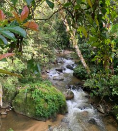 Parit Falls Campsite Cameron Highlands