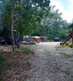 Rimba & Woods Campsite