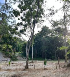 Rimba & Woods Campsite