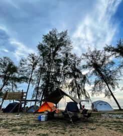 Willow Tree Cherating