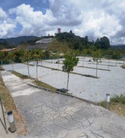 Stellar Golden Hill, Cameron Highland