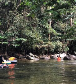 WildCampsite Pak Mus MCO, Tanjung Malim