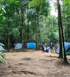 Rimba Camp Site @ Tree Top Walk Sungai Sedim